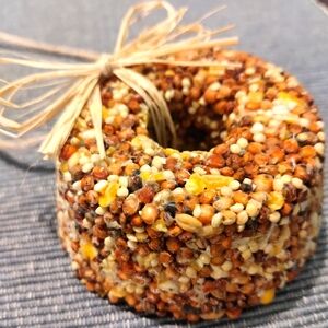 4 pc. Birdseed Wreath Handmade Mini Wreath Bird Seed ornaments